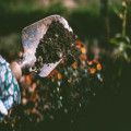 Je tuin renoveren? Gebruik dit handige stappenplan!