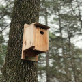 Waarom wordt een vogelhuisje soms niet gebruikt door vogels?