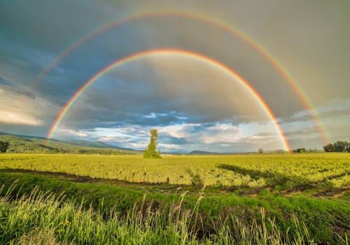 Waarom zijn regenbogen krom: uitleg over dit natuurverschijnsel