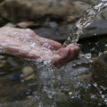 Waarom wordt regenwater vaak als drinkwater gebruikt in droge gebieden?