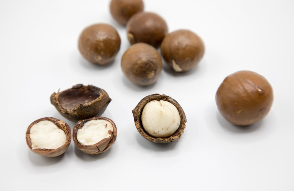 Ontdek de wereld van Macadamianoten, knapperige noten boordevol smaak!